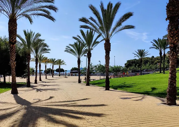 Cala Alta Vibe