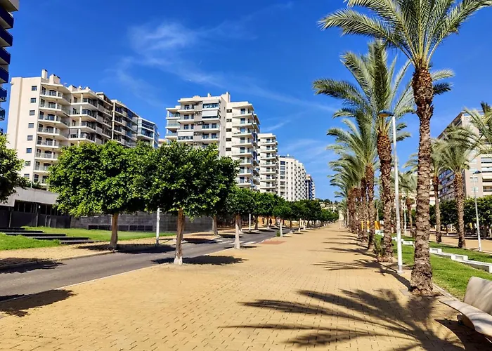 Cala Alta Vibe