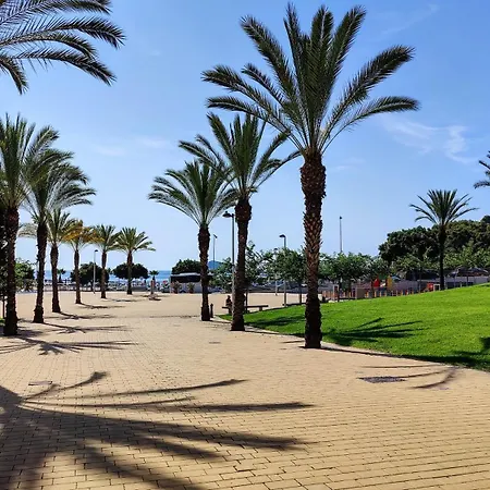 Cala Alta Vibe